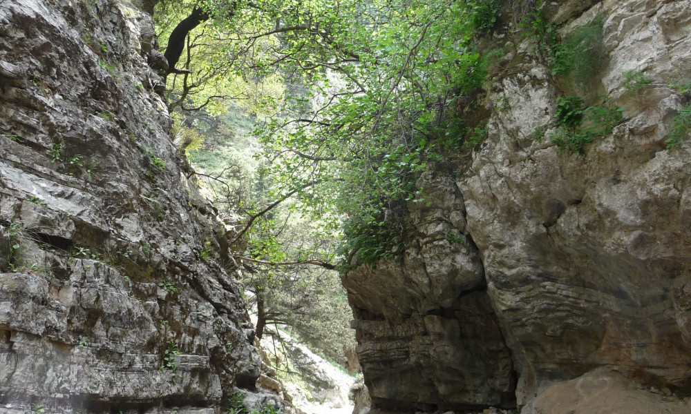Imbros