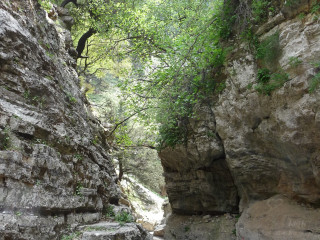 Imbros Image 1