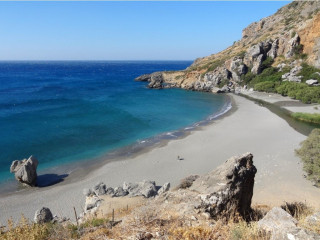 Palm Beach Image 11