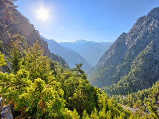 Samaria swsta pick up Image 2